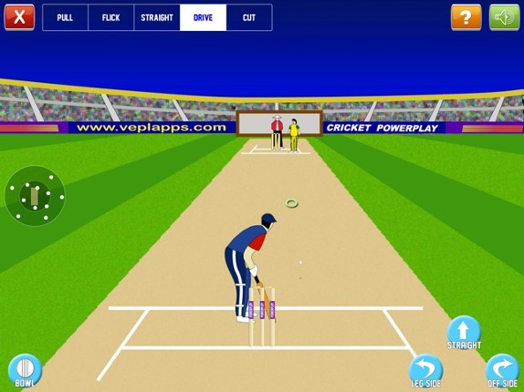 Cricket Power-Play screenshot