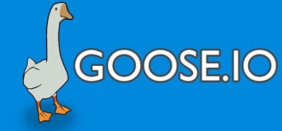 GOOSE.IO Image