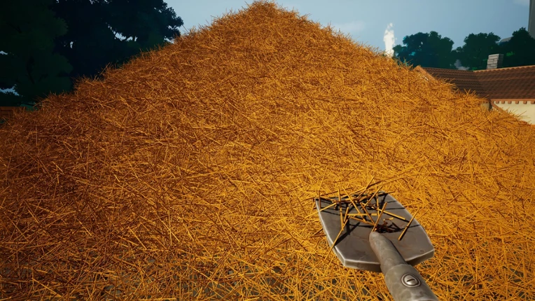 A Needle In a Haystack Image