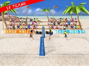 Beach Volley Pro Image