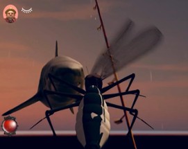 Crazy Mosquito Image