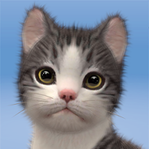 Kitten: Cat Game Simulator Image