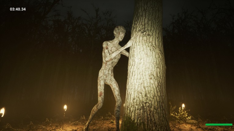 Slender: Reborn Image