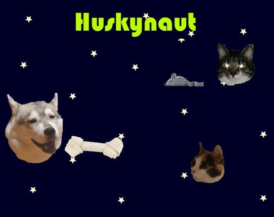 Huskynaut Image