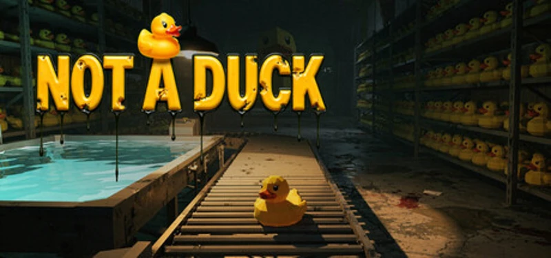 Not a Duck Image