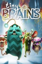 Tiny Brains Image