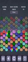 Big Hexagon Puzzle Image