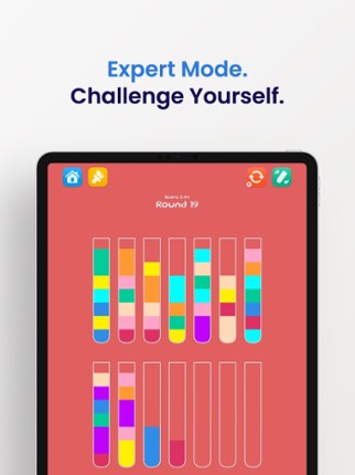 Color Ball Sort Puzzle - screenshot