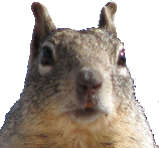 Games like Squirrel Game 3
