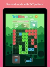 TritBits Image