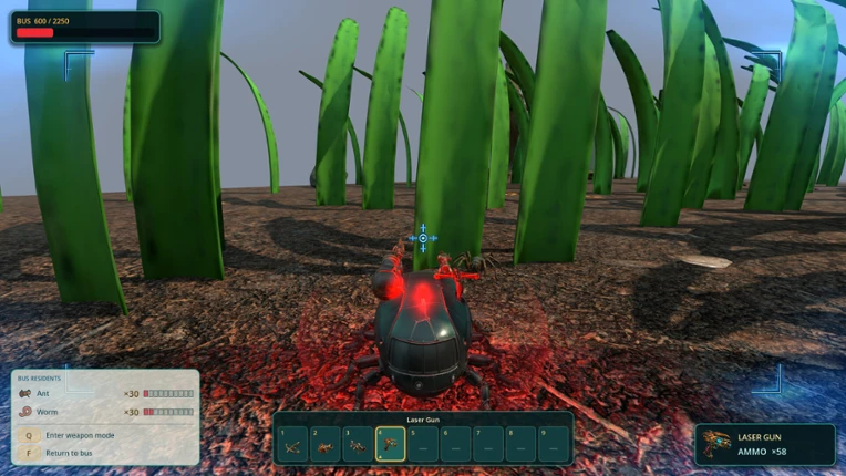 Bug Bus Image