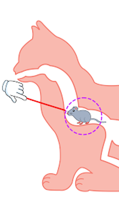 Relaxing Puzzle: Tricky Story Image