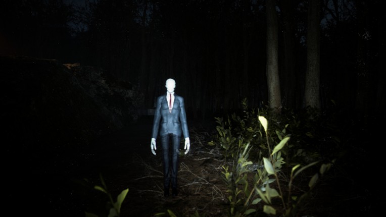 Slender: Reborn Image