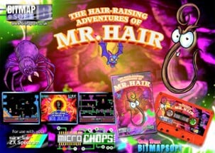 The Hair-Raising Adventures of Mr Hair Image