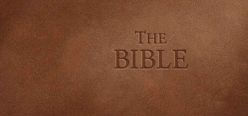 The Bible Game Cover