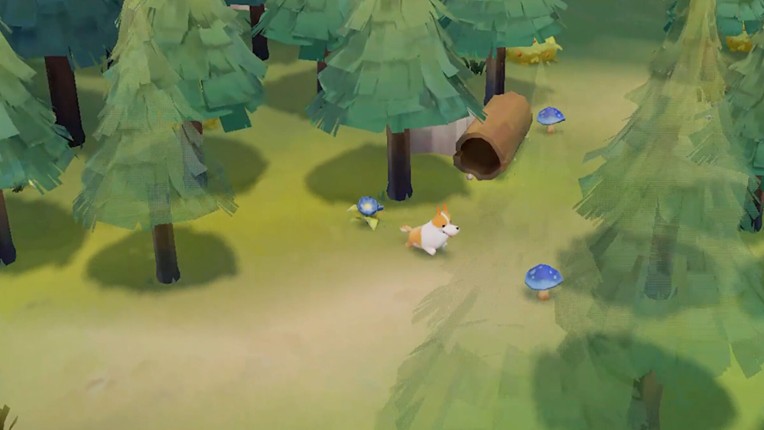 HomeStray screenshot