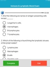 Human Immune System Quiz Image