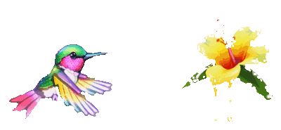 HummingBird Harmony: Ruby's Nectar Quest Image