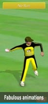 Smashing Cricket: cricket game Image