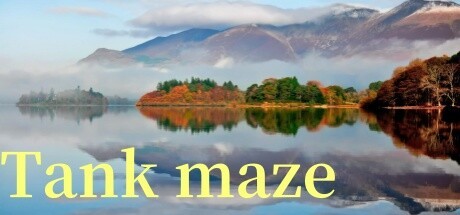 Games like Tank maze