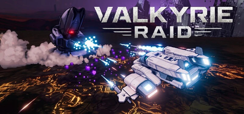 Valkyrie Raid Image