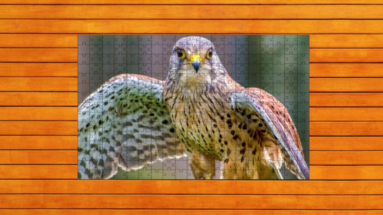 Whispers of Wings Jigsaw Puzzles screenshot