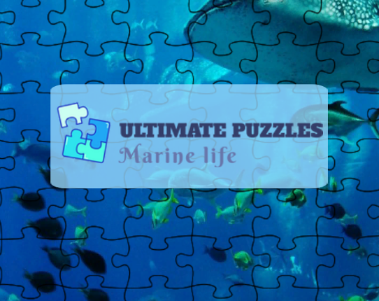 Ultimate Puzzles Marine Life Game Cover