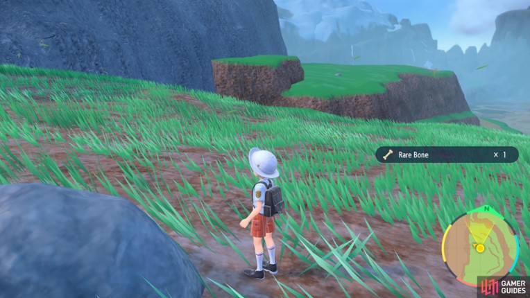 Pokemon Rainbow Online 2.0 Image