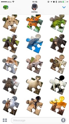 Animal Puzzle Games - Fun Jigsaw Puzzles screenshot