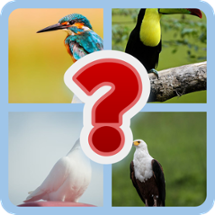 Brain Booster: Multi Topic Quiz Game Image