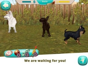 Dog Hotel - Play with dogs Image