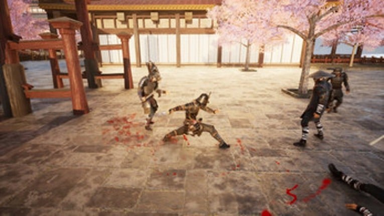 Samurai Fury: Blade of Vengeance Image