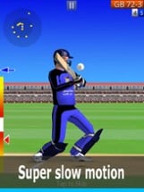 Smashing Cricket: cricket game Image