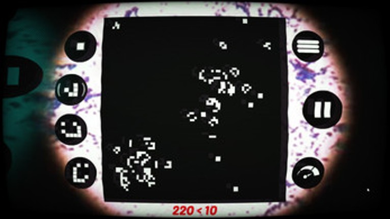Bacteria Image