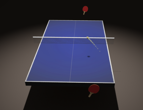 Endurance Ping Pong Image