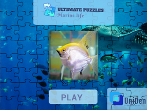 Ultimate Puzzles Marine Life Image