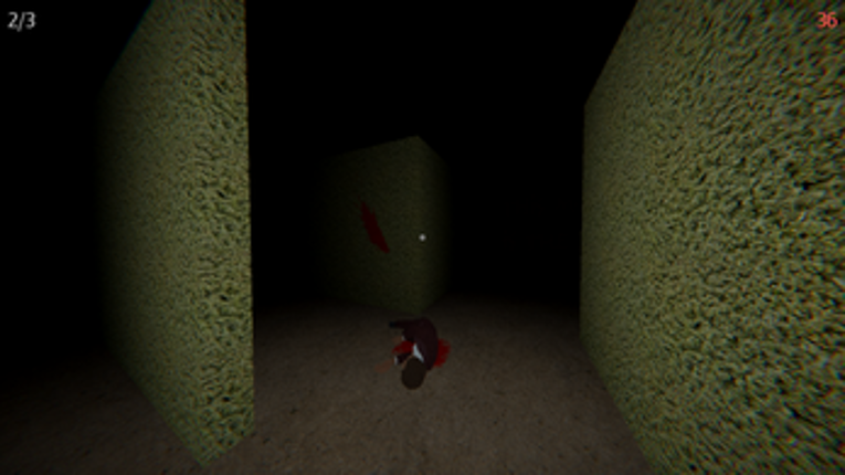 The Maze Image