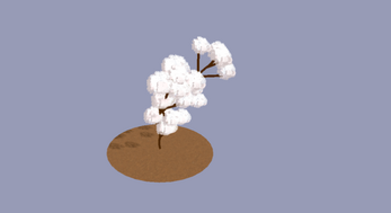 Botanic Aberration Image