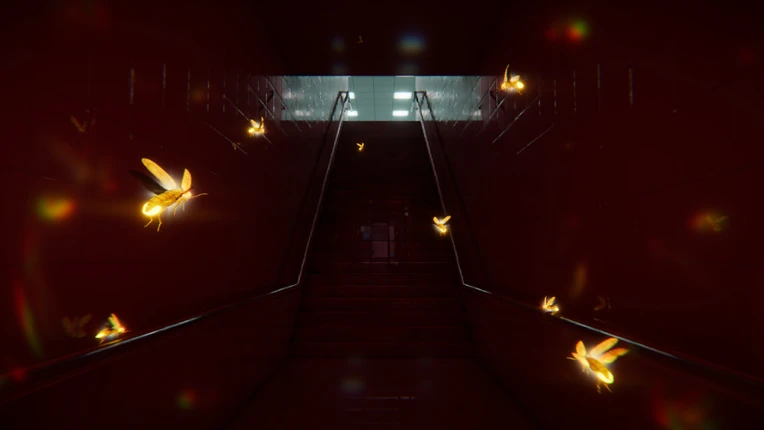 Dreams About Fireflies Image