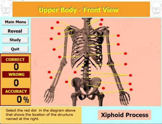 Label that Diagram - Human Sleleton 2 - Med screenshot