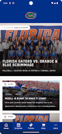Florida Gators screenshot