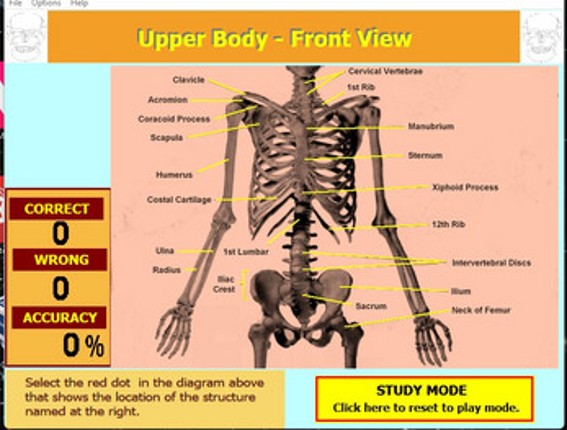 Label that Diagram - Human Sleleton 2 - Med screenshot