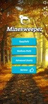 Minesweeper Master Classic Pro Image