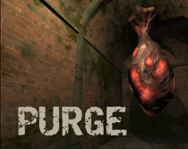 PURGE Image