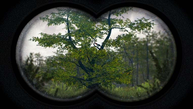Birding Simulator: Bird Photographer screenshot