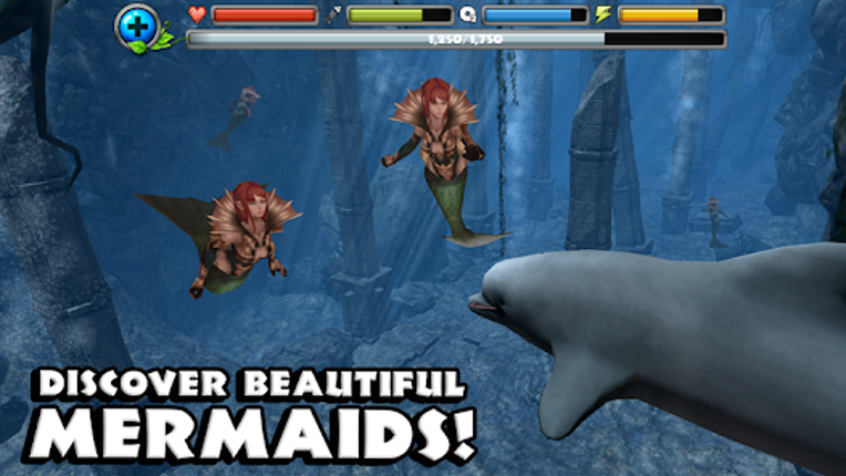 Dolphin Simulator screenshot