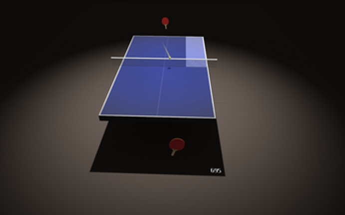 Endurance Ping Pong Image