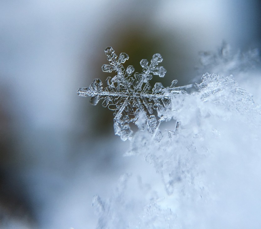 Games like The Twilight Garden