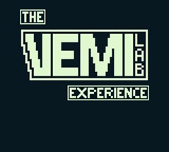 The VEMI Experience Image