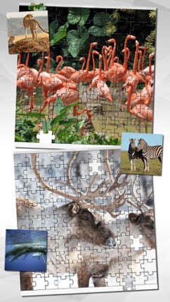 Animal Puzzle Game HD screenshot